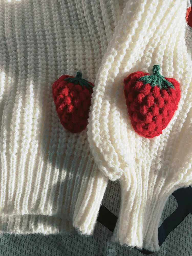 Strawberry Matching Adult Jumper