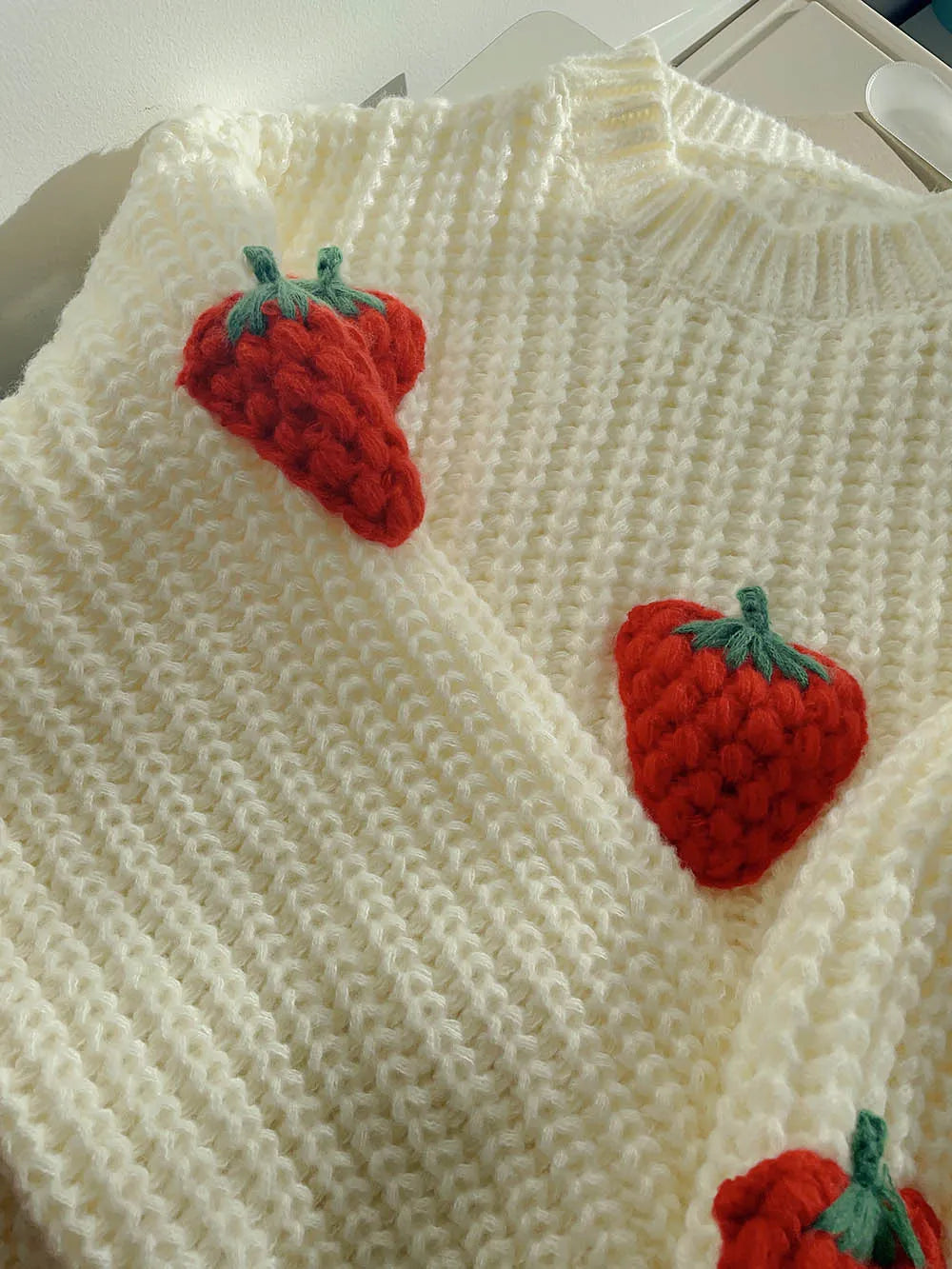 Strawberry Matching Adult Jumper