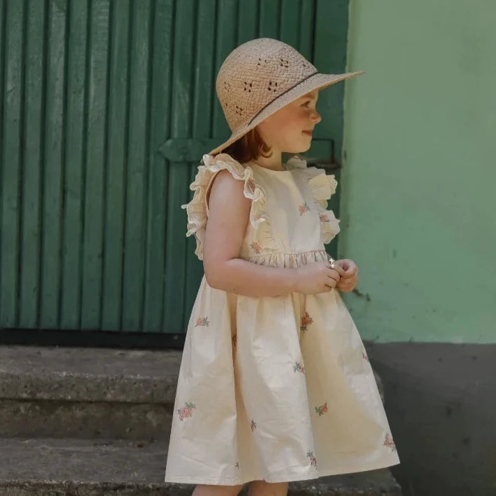 Flutter Sleeves Dress