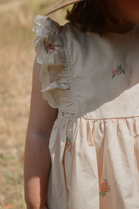 Flutter Sleeves Dress