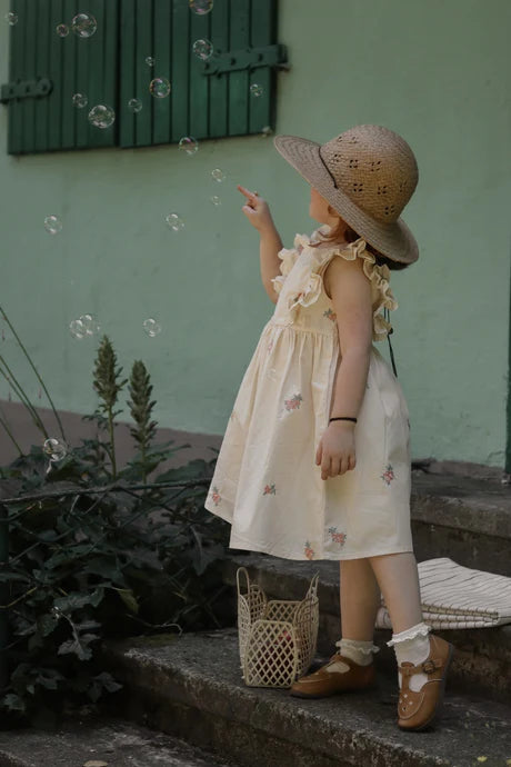 Flutter Sleeves Dress
